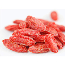 Wholesale Factory Organic Packaging Bulk Red Goji Berry